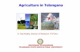 Agriculture in Telangana
