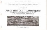 Resti pavimentali in cementizio, mosaico e sectile dal tempio di Venere a Pompei: dati stratigrafici - AISCOM Atti del XIII Colloquio