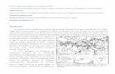 La Localidad Arqueológica Paso del Puerto: Primeros Fechados Numéricos, Estratigrafía y Tecno-Economía