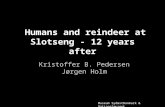 Humans and reindeer at Slotseng - 12 years after