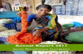 Social Microfinance Foundation annual report 2011