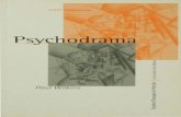 Psychodrama - Paul Wilkins