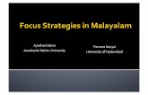 Focus Strategies in Malayalam: The Syntax-Prosody Interface (with Paroma Sanyal)