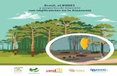 Brasil, BNDES y proyectos de inversión con implicancias en la Amazonía
