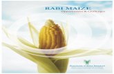 Rabi Maize-Opportunities and Challenges - krishi icar