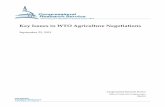 Key Issues in WTO Agriculture Negotiations - FAS Project on ...