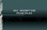 17 - GAS ABSORPTION PRINCIPLES