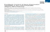Feedback Control of Gene Expression Variability in the Caenorhabditis elegans Wnt Pathway