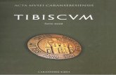tibiscvm - Biblioteca-digitala.ro