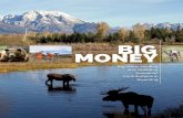 Big Game Hunting and Outfitting Economic Contributions in ...