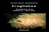 Southeast Asia, Maldives, Red Sea - Frogfish book / Teresa ...