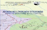 Aromani Meglenoromani Istroromani, Berciu Adina, Lozovanu Dorin, Coman Virgil