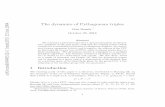 The dynamics of Pythagorean triples - arXiv