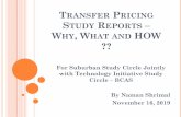 transfer pricing study reports