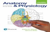 anatomy & physiology coloring workbook