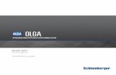 OLGA Installation Guide - Schlumberger Software