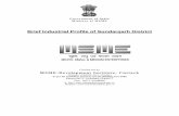 Brief Industrial Profile of Sundargarh District - DC–Msme