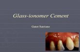 Glass-ionomer Cement Glass-ionomer Cement