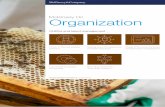 Organization - McKinsey