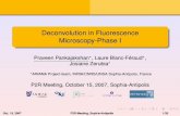Deconvolution in Fluorescence Microscopy-Phase I