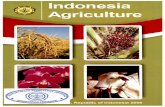 Indonesia Agriculture