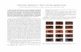 Periocular biometrics: When iris recognition fails