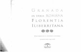 La estructuración de la ciudad, en Orfila (ed.) Granada en época romana: Florentia Iliberritana, págs. 47-55.