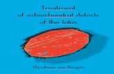 TREATMENT OF OSTEOCHONDRAL DEFECTS OF THE ...
