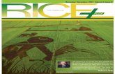 Rice plus Magazine
