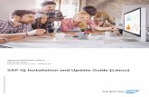 SAP IQ Installation and Update Guide [Linux]