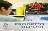 progress report - FER
