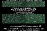 TELEWORKING: INTERNATIONAL PERSPECTIVES