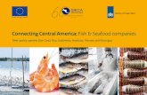 Connecting Central America: Fish & Seafood companies