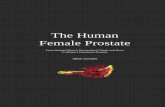 The Human Female Prostate