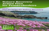 Nature Recovery Action Plan for Pembrokeshire