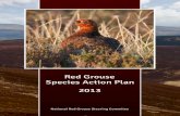 Species Action Plan Red Grouse 2013 - National Parks ...