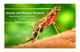 Insects and Human Diseases