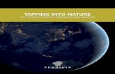 TAPPING INTO NATURE - Terrapin Bright Green