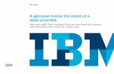 A glimpse inside the mind of a data scientist - IBM