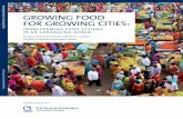GROWING FOOD FOR GROWING CITIES: - Chicago Council ...