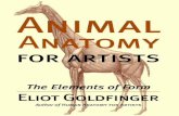 Animal anotomy Drawing