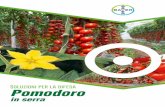 Pomodoro - Bayer Crop Science Italia