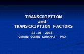 TRANSCRIPTION and TRANSCRIPTION FACTORS(MAZEN SAEED)