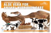 aloe vera for animal nutrition care - AMB Wellness