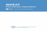 WHEAT Post-harvest Operations -Post-harvest Compendium WHEAT: Post-harvest Operations