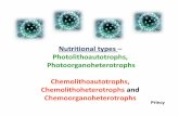 Nutritional types – Photolithoautotrophs ...