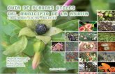 Guía de plantas útiles del municipio de La Asunta (Sud Yungas, La Paz, Bolivia)