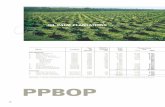 oil palm plantations - I3investor