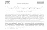 Induction of diploid gynogenesis using interspecific sperm and production of tetraploids in African catfish, Clarias gariepinus Burchell (1822