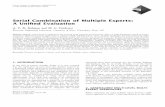 Serial Combination of Multiple Experts: A Unified Evaluation